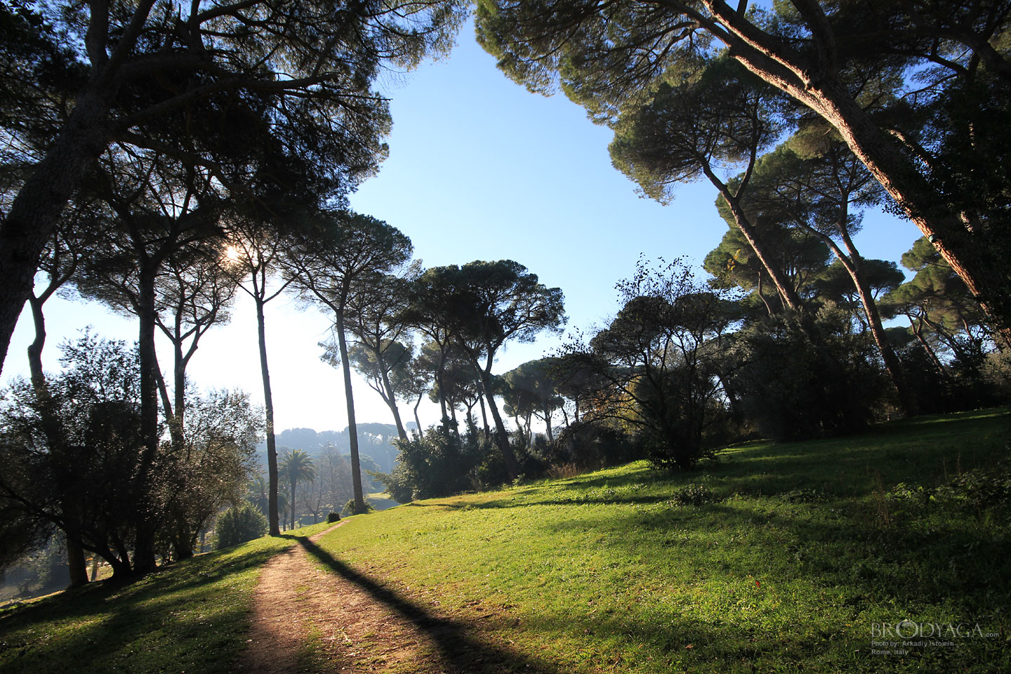 Villa Ada, Rome